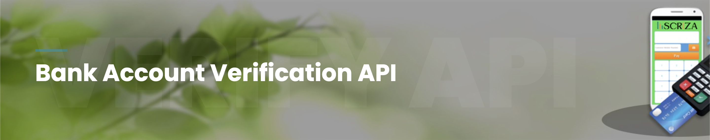 Bank Account Verification API Solutions