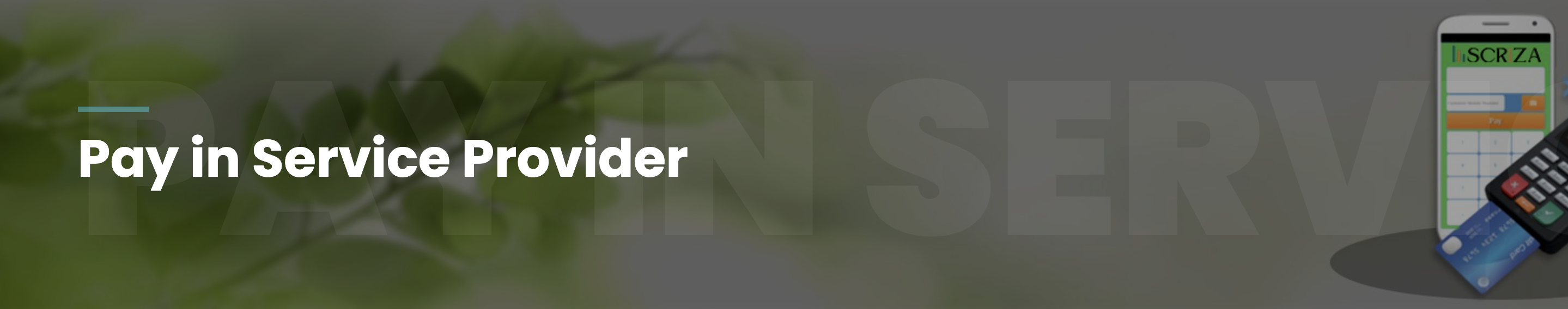 Pay In Service Provider