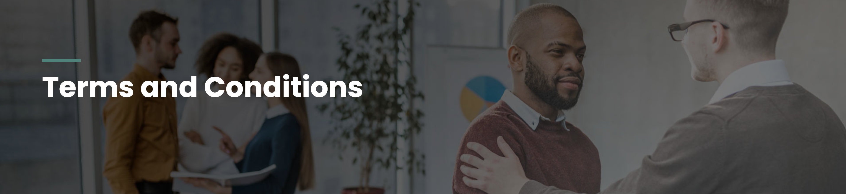 Terms and Conditions