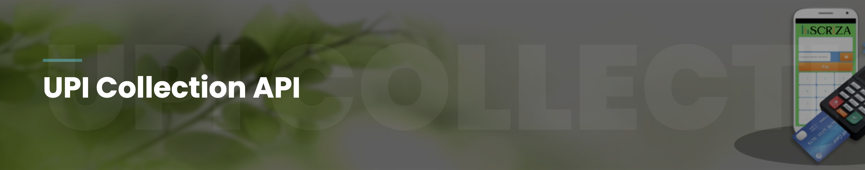 UPI Collection API